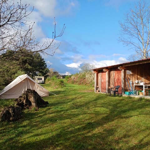 Natural landscape, Garden, Mountain view