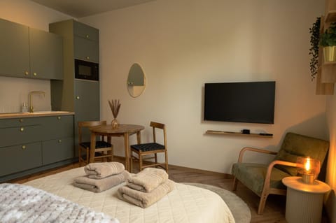Bed, TV and multimedia, Kitchen or kitchenette, Living room, Photo of the whole room, Bedroom, towels