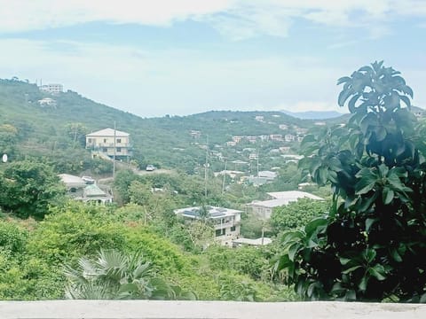 Come Chill on the Hill Apartment in Virgin Islands (U.S.)