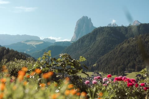 Natural landscape, View (from property/room), City view, Landmark view, Mountain view