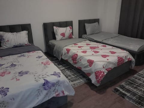 Zamfina Apartment in Serbia