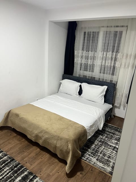 Zamfina Apartment in Serbia