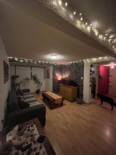 Cerca del centro de Coyoacán, Departamento planta baja con jardín Apartment in Mexico City