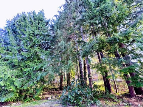 The Sitka Studio Apartment in Forks