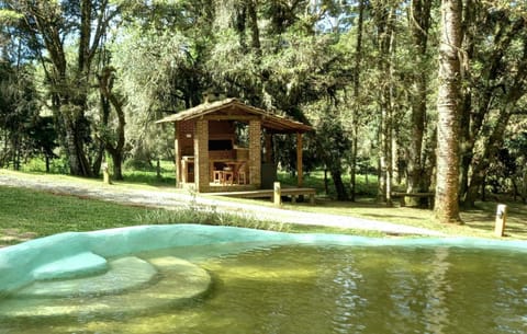 Natural landscape, Garden, Garden view, Pool view, Swimming pool