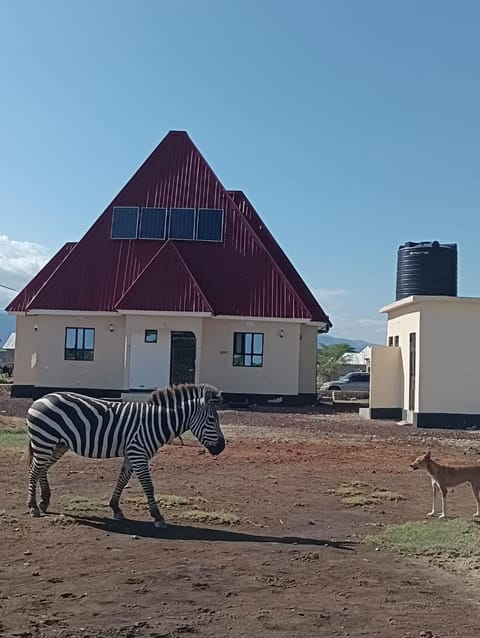 Day, Animals