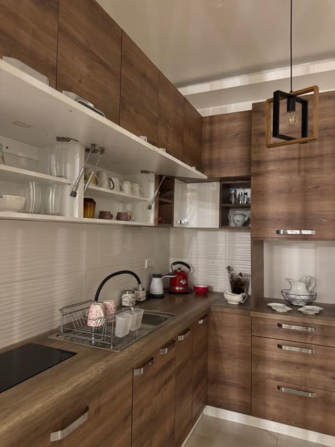 Atina Premium Apartment in Novi Sad