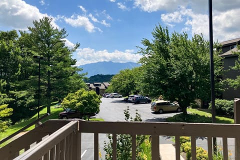 Mountain View Ski Condo Sleep 6 - Fireplace - Hot Tub House in Gatlinburg