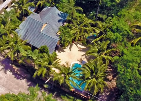 Bird's eye view, Garden