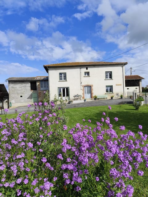 Spring, Natural landscape, Garden