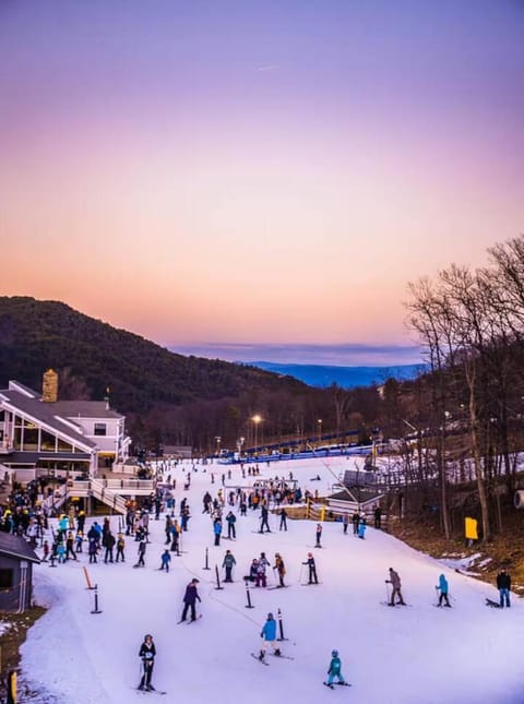 Slopeside Shenanigans Apartment in Massanutten