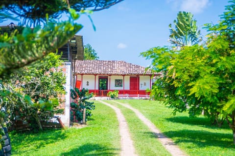 Facade/entrance, Garden