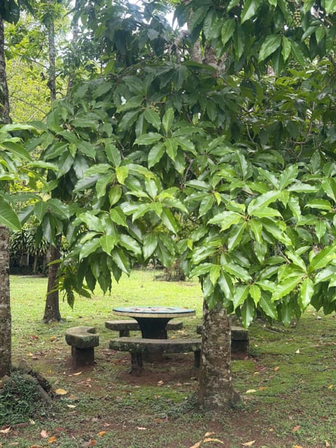 Casa Pedra Bonita a 10 minutos de Itaipava House in State of Rio de Janeiro
