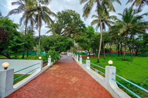 Natural landscape, Garden, Garden view