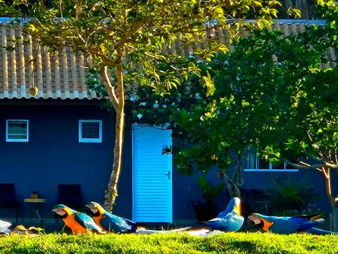 Property building, Day, Natural landscape, Garden, Garden view