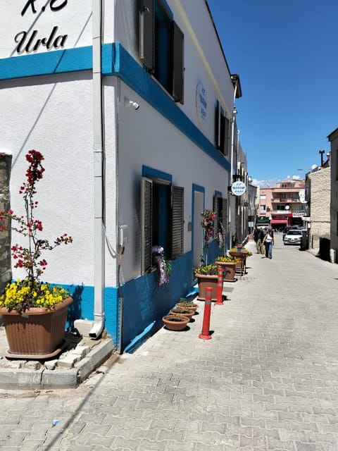 Property building, Day, Street view