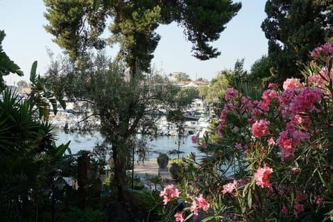 Garden view