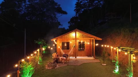 Night, Garden view