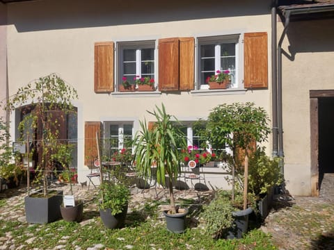 Property building, Patio