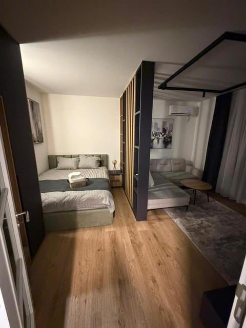 Urban Space Apartment in Serbia