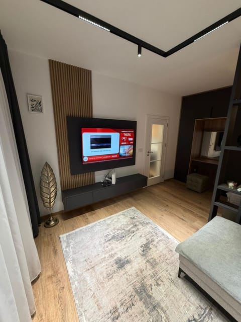 Urban Space Apartment in Serbia