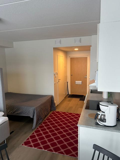 Cozy apartment for three by the ski trails Apartment in Finland