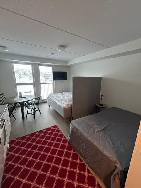 Cozy apartment for three by the ski trails Apartment in Finland