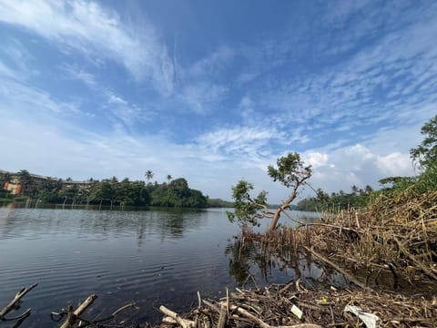 Day, Natural landscape, Lake view, River view