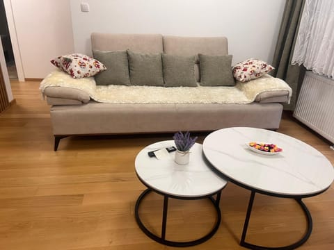 Taša 1 Apartment in Federation of Bosnia and Herzegovina