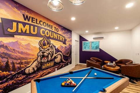 Billiard, Game Room, Decorative detail, Seating area