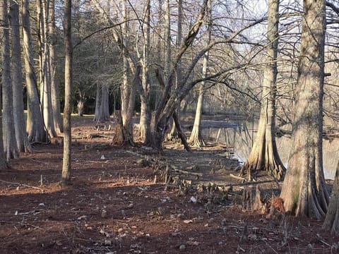 Beaver Creek Cabin - Relax and Enjoy Cabin in Oak Ridge