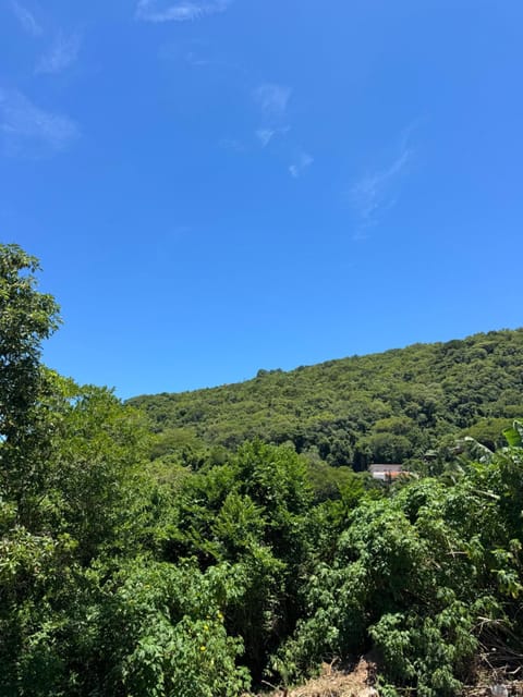 Natural landscape, Mountain view