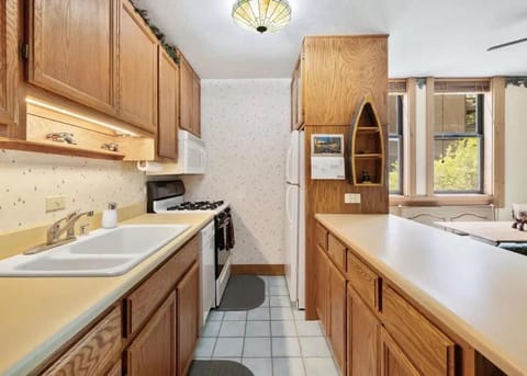 Kitchen or kitchenette, dishwasher, oven, stove