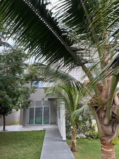 Property building, Garden view