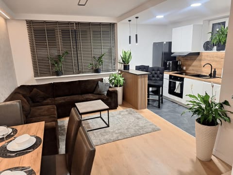 Kitchen or kitchenette, Living room, Seating area, Dining area, dishwasher, pet friendly, stove