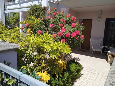 Garden, Garden view