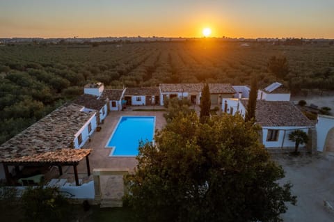 Day, Natural landscape, Bird's eye view, Pool view, Swimming pool, Sunset
