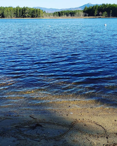 Cabin in the pines Cabin in Madison
