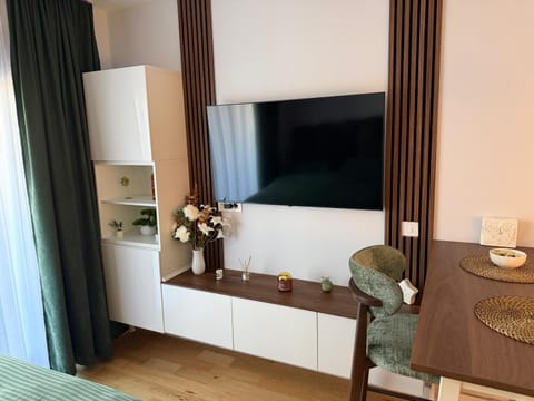 Bed, TV and multimedia, Living room, Photo of the whole room, Seating area, Bedroom