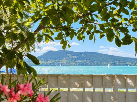 Lake view