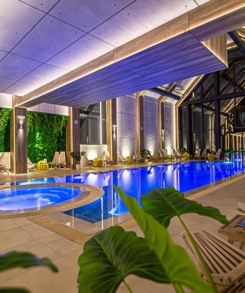 Swimming pool, sunbed
