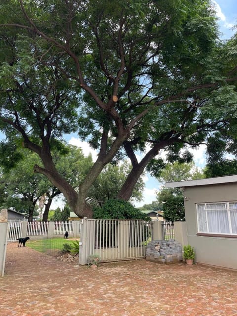 Garden, Garden view