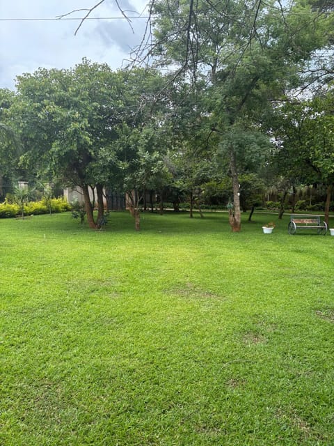 Day, Natural landscape, Garden, Garden view, Inner courtyard view
