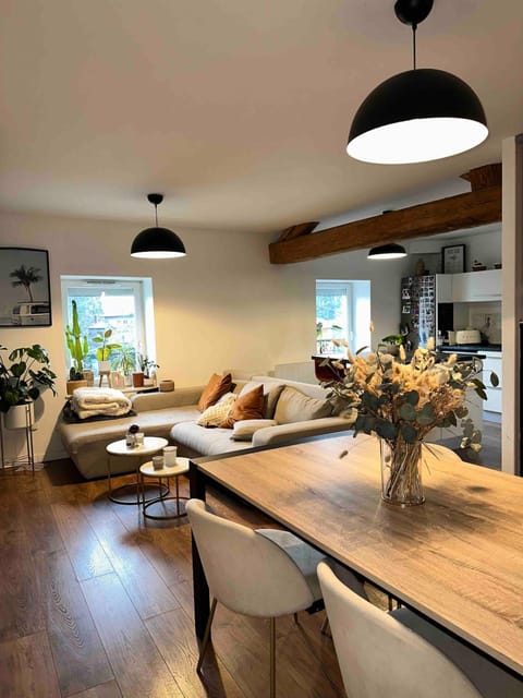 Charmant appartement cosy, tout équipé à Charbonnières Apartment in Tassin-la-Demi-Lune