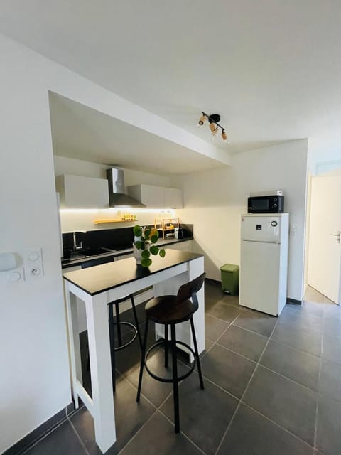 Les pieds dans l'eau Apartment in Thonon-les-Bains