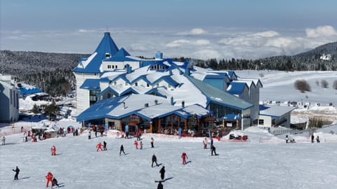Property building, Day, People, Winter, Skiing, group of guests