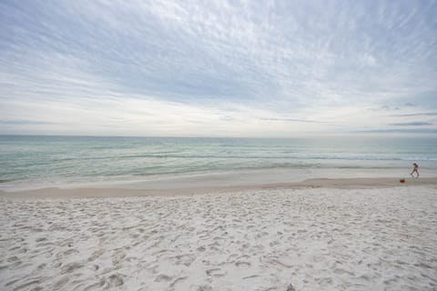 Phoenix X 503 Apartment in Ono Island