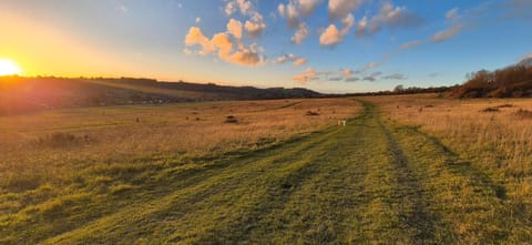 Natural landscape