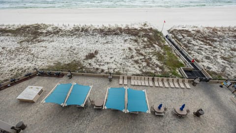 Phoenix X 613 Apartment in Ono Island