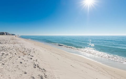 Phoenix X 613 Apartment in Ono Island